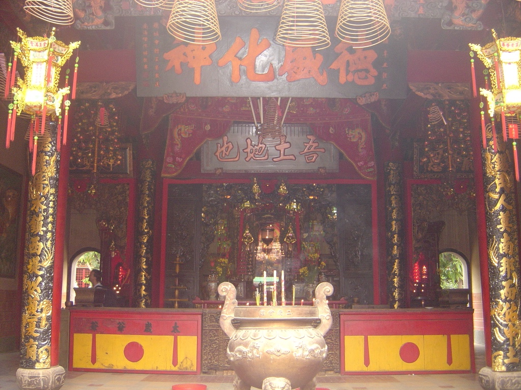 image8