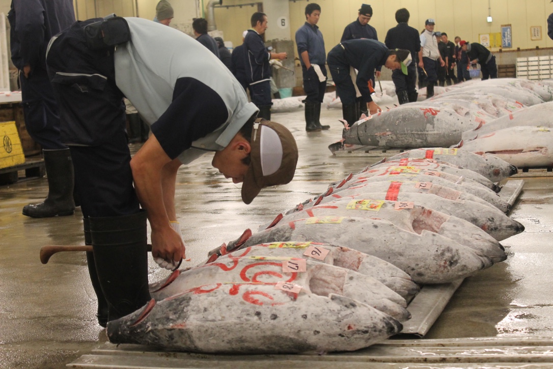 japan-5