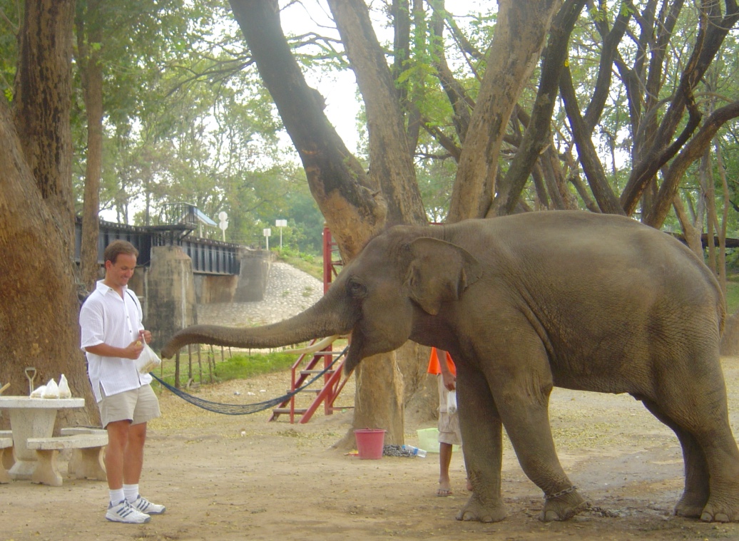 bangkok8